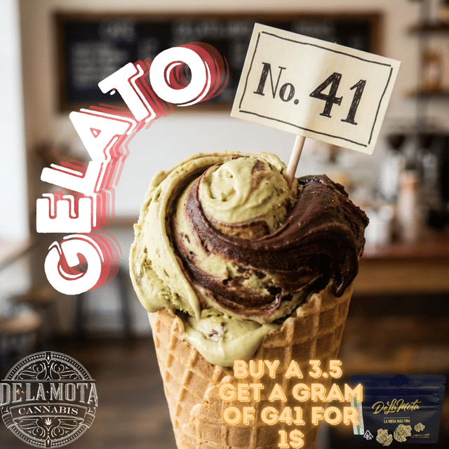Gelato #41
