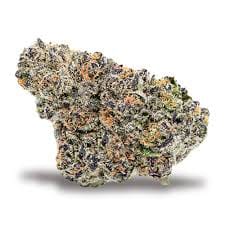 La Mota: Gelato #41