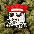 Pineapple Express Infused Budlets 7g