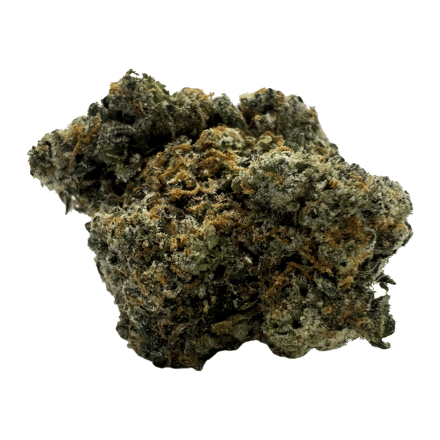 Tokyo Sunset - Flower