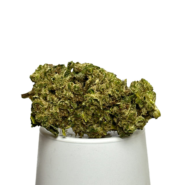 Grape Gas | Moonland Mellows Flower - 3.5g