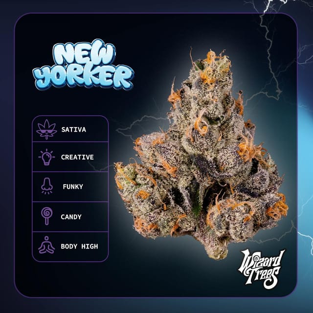 New Yorker 34.06% - 3.5g *SPECIAL PRICING*