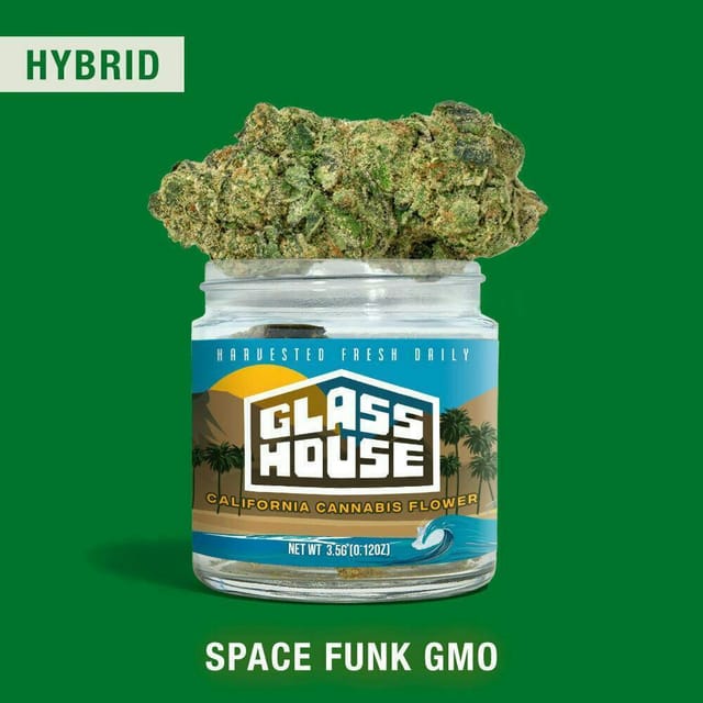 Space Funk GMO - Jar - Flower