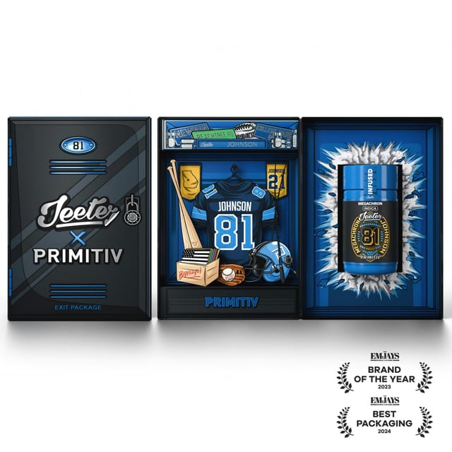 Calvin Johnson Big Game - Megachron