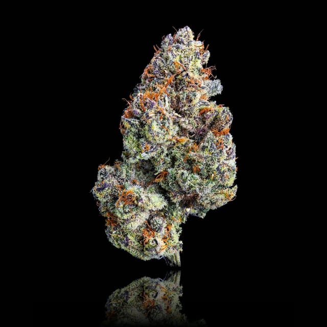 ZuZu Berry | Goldies Infused Pre-Rolls 5-Pack