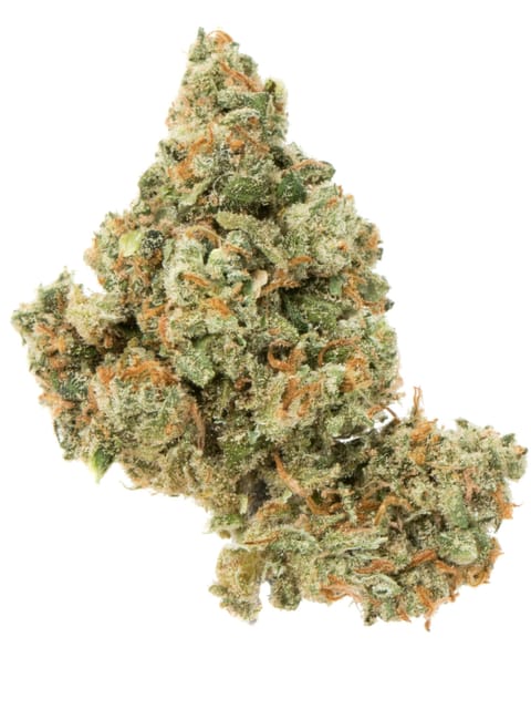 Jack Herer 30.52% - 14G - Jack Herer (S)