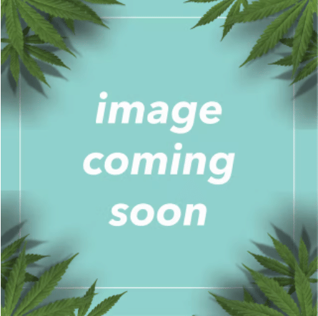 11:1 CBD Pineapple Kush, SG