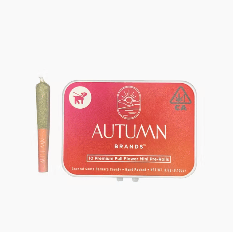 Autumn Brands: 10 Mini - Errtime