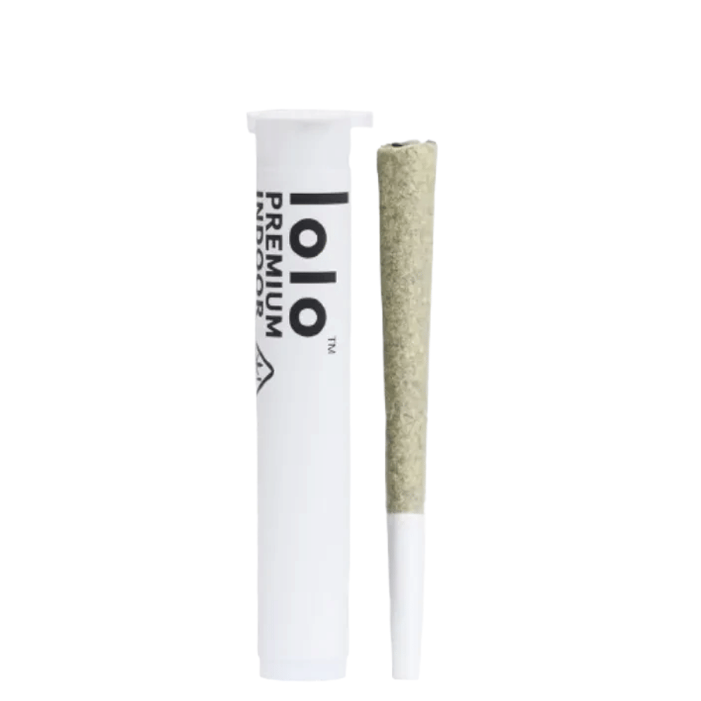 lolo — Beach Bum Haze