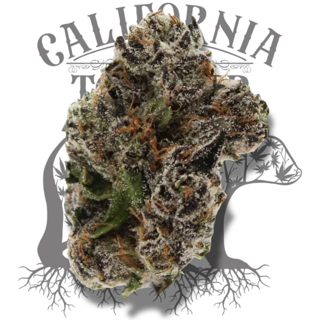 PINK LEMON CHERRY GELATO SMALLS 14G