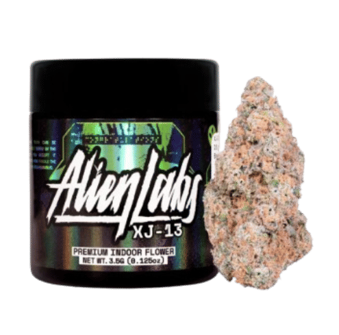 XJ-13 - Indoor - Flower