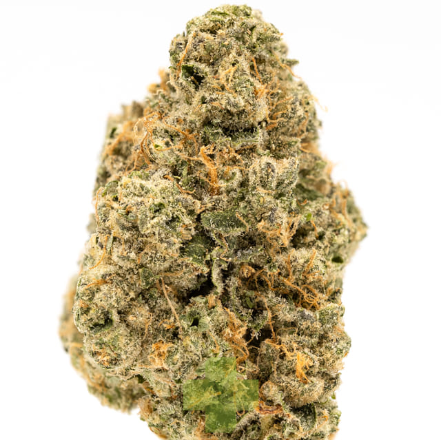 Gello Shotz (1/4oz.) - Quarter