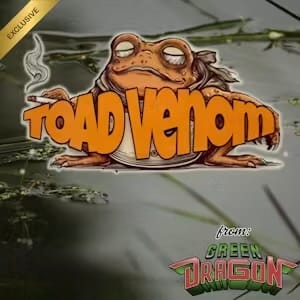 Green Dragon 8th - Toad Venom - Toad Venom