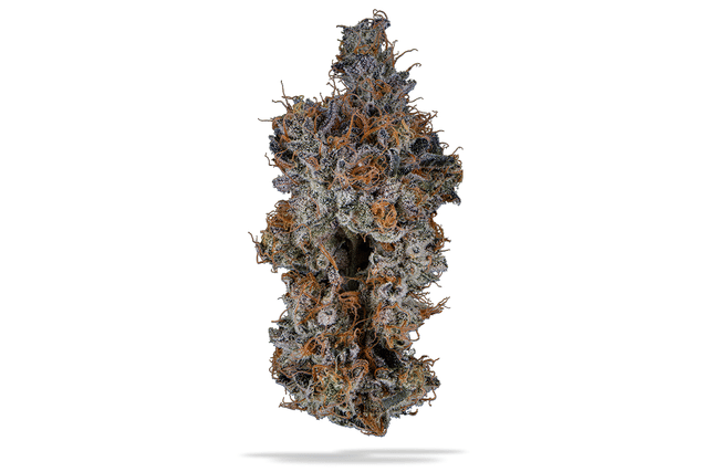 Applescottie 27.67% - 14G Smalls - Applescottie (H)