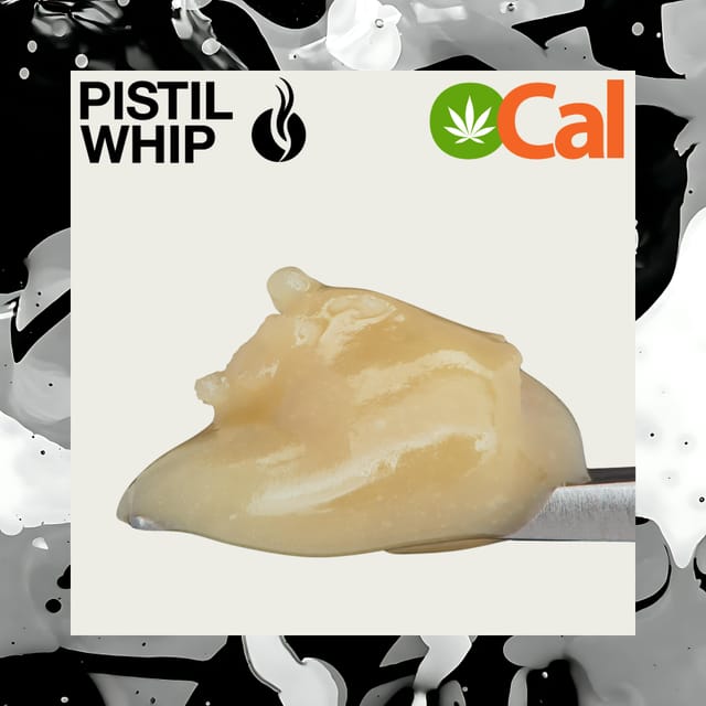 Black Maple | 1g OCal Live Rosin Badder