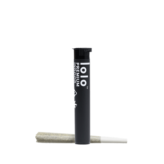 lolo | Kosher Tangie | Indoor Hash Infused Preroll | 1g