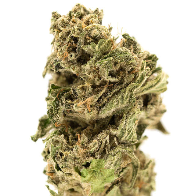 Kaleidoscope, SG - Eight