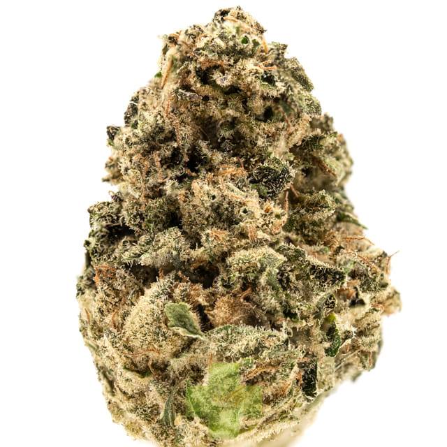 Pink Lemonade, SG - Eight