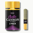 Moonbow Baby Cannons 3pk Prerolls