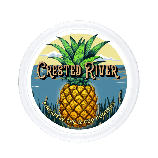 Pineapple Gummies w/ THC & CBG - Single Tin
