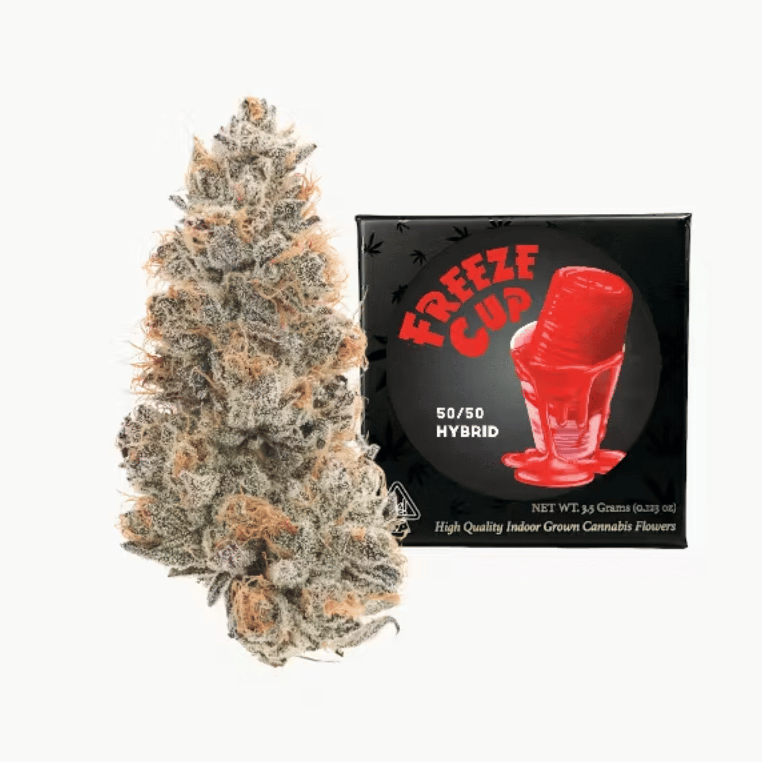 Team Elite Genetics: Freeze Cup