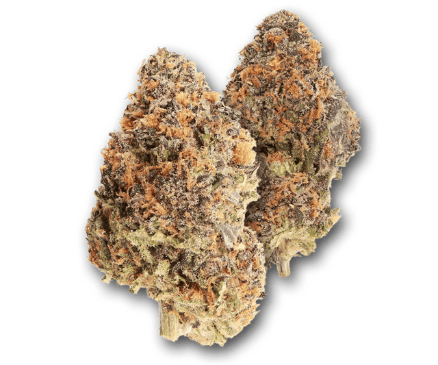 Delizia Al Limone - Flower