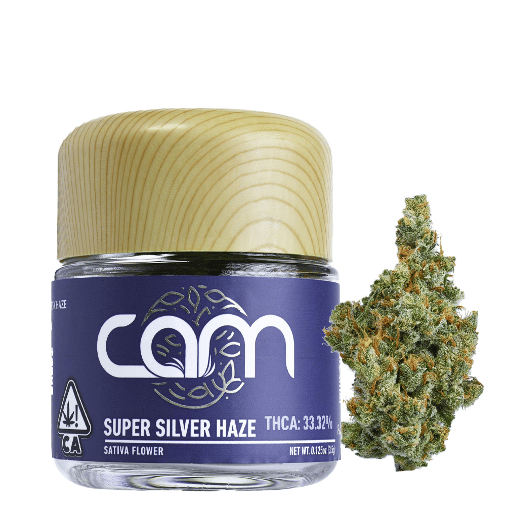 Angel Cam — Super Silver Haze