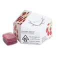 Raspberry Gummies *SPECIAL PRICING* - Raspberry (S)
