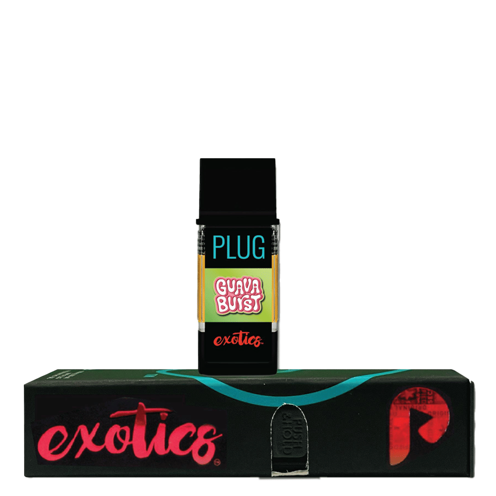 PlugPlay — Guava