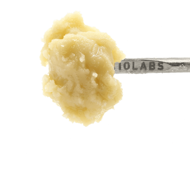 Sour Tangie + Donny Burger ROSIN BADDER