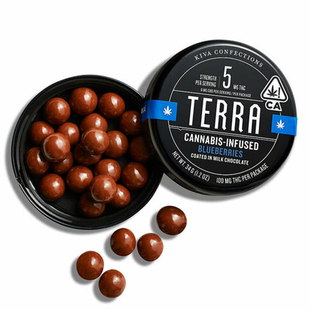 Milk Chocolate Blueberries - Terra Bites *SPECIAL PRICING* - Milk Chocolate Blueberries Terra Bites