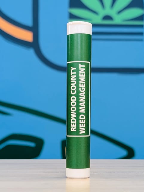Halle Berry - 1 Gram Pre-Roll - 1 Gram Pre-Roll