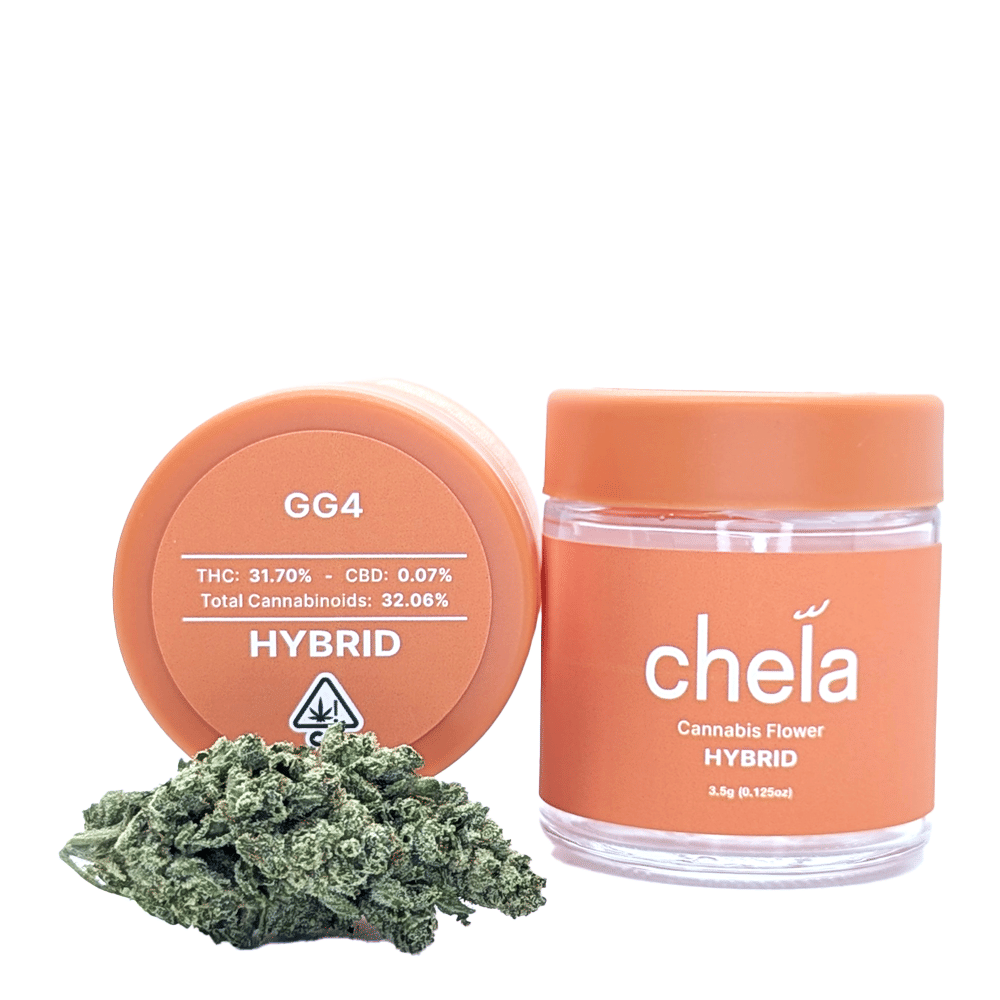 Chela — Original Glue