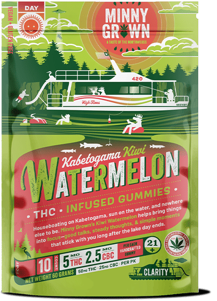 Kiwi Watermelon Gummies - Single Pack