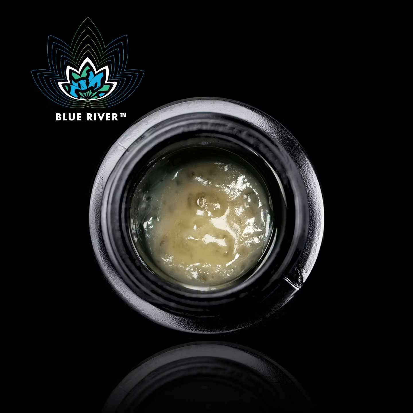 Bear Labs: Lemon Pie