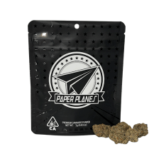 Paper Planes Extracts: Original Glue