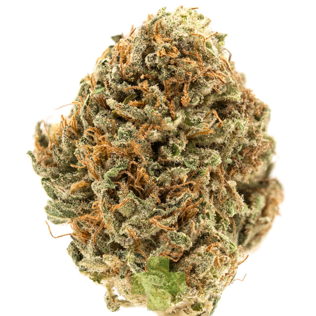 Blue Dream X Purple Punch, SG