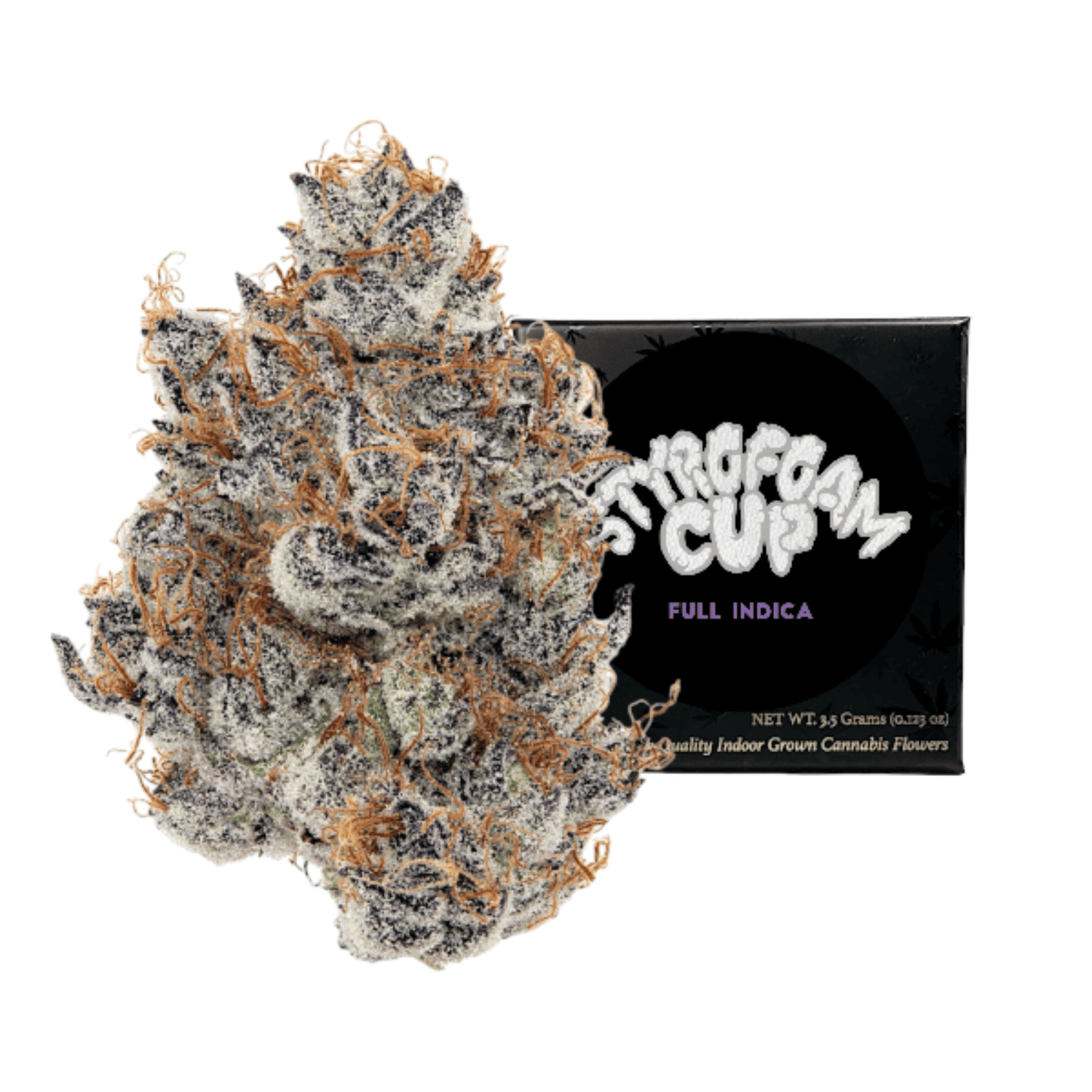 Team Elite Genetics: Styrofoam Cup