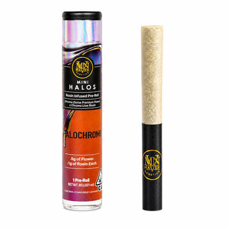 Maven Genetics: Mini Halo - Prizmatic