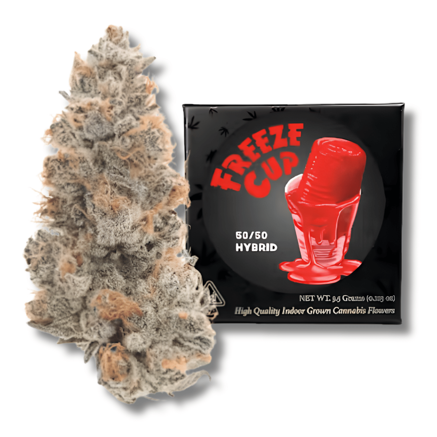 Team Elite Genetics: Freeze Cup