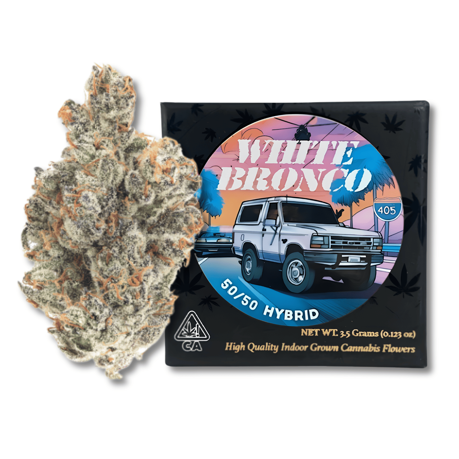 Team Elite Genetics: White Bronco