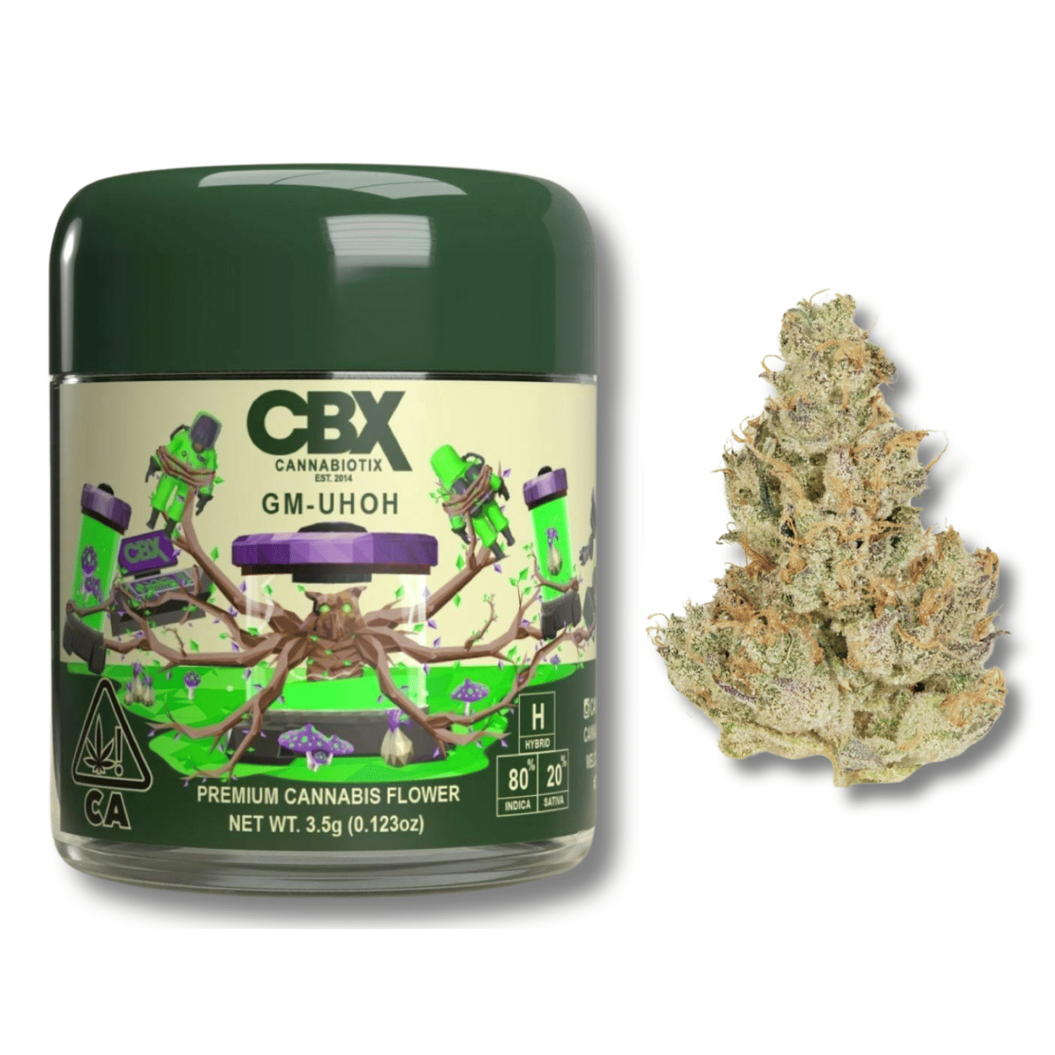 Cannabiotix: GMO Cookies