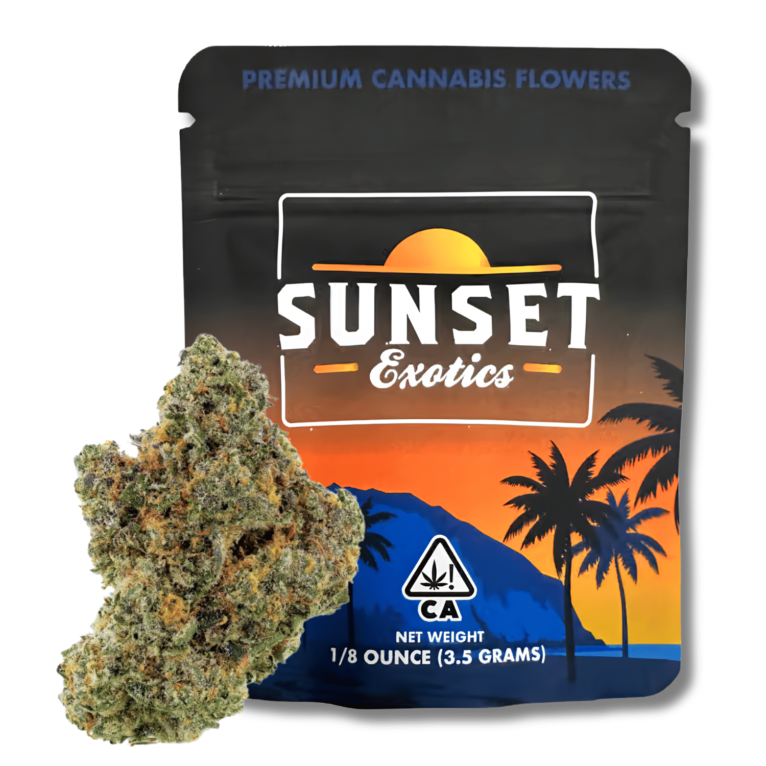 Sunset Exotics: Pablo S Pine