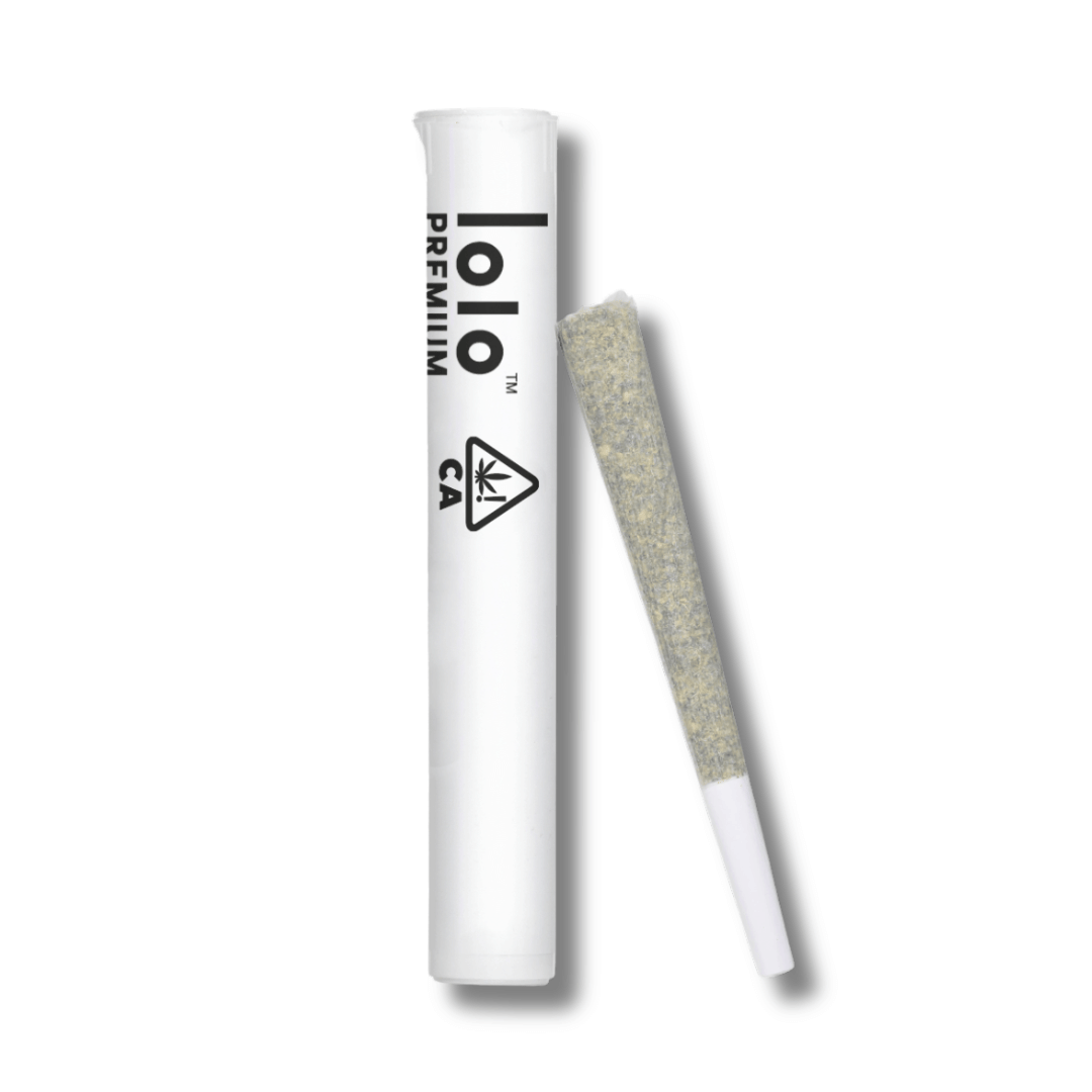 lolo: Orange Pineapple